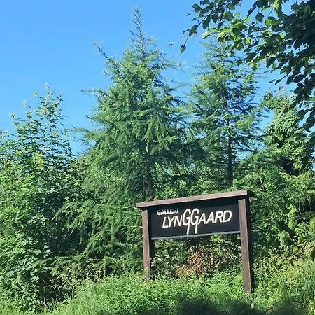Lynggaard * Nibe