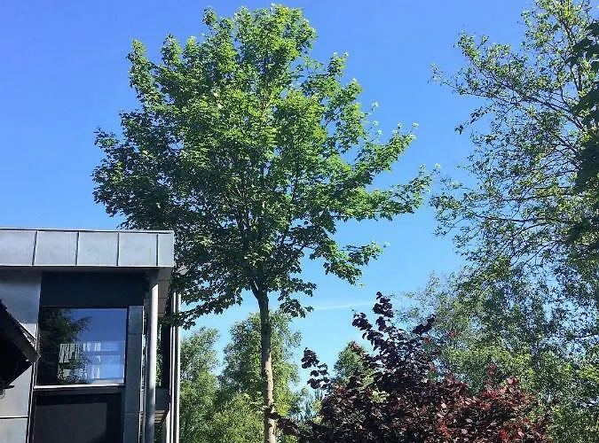 Lynggaard Hotel Nibe